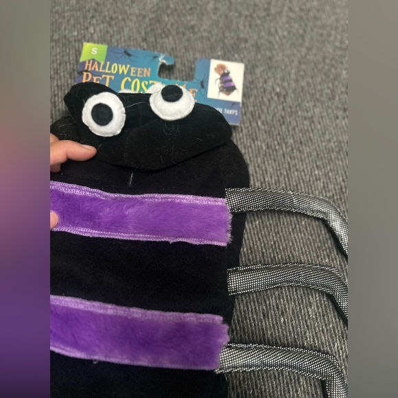 Spooky Cute Isty Bitsy Purple Plush Spider Dog Costume Halloween, Small #0925094 - Picture 10 of 10